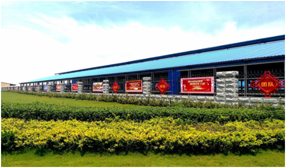 “ 看聽談查 ”板 找短板 黨建巡查促提升——花花牛集團(tuán)黨委開展基層黨建工作巡查 “ 看聽談查 ”板 找短板 黨建巡查促提升——花花牛集團(tuán)黨委開展基層黨建工作巡查