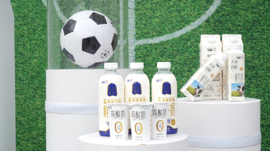 官宣丨花花牛贊助河南足球，新賽季和河南足球一起牛氣沖天！