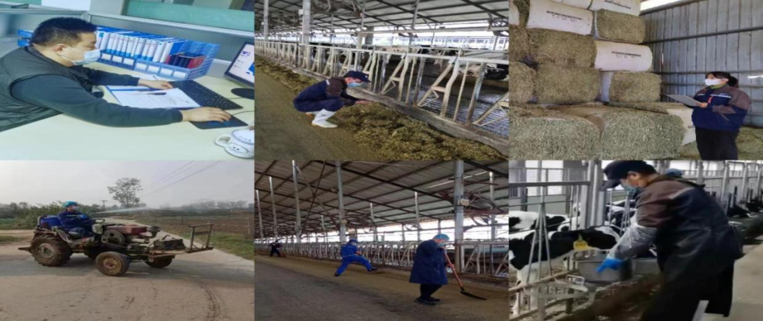 @全體花花牛人：請(qǐng)珍惜你的崗位，請(qǐng)善待我們共同的“花花?！保? style=