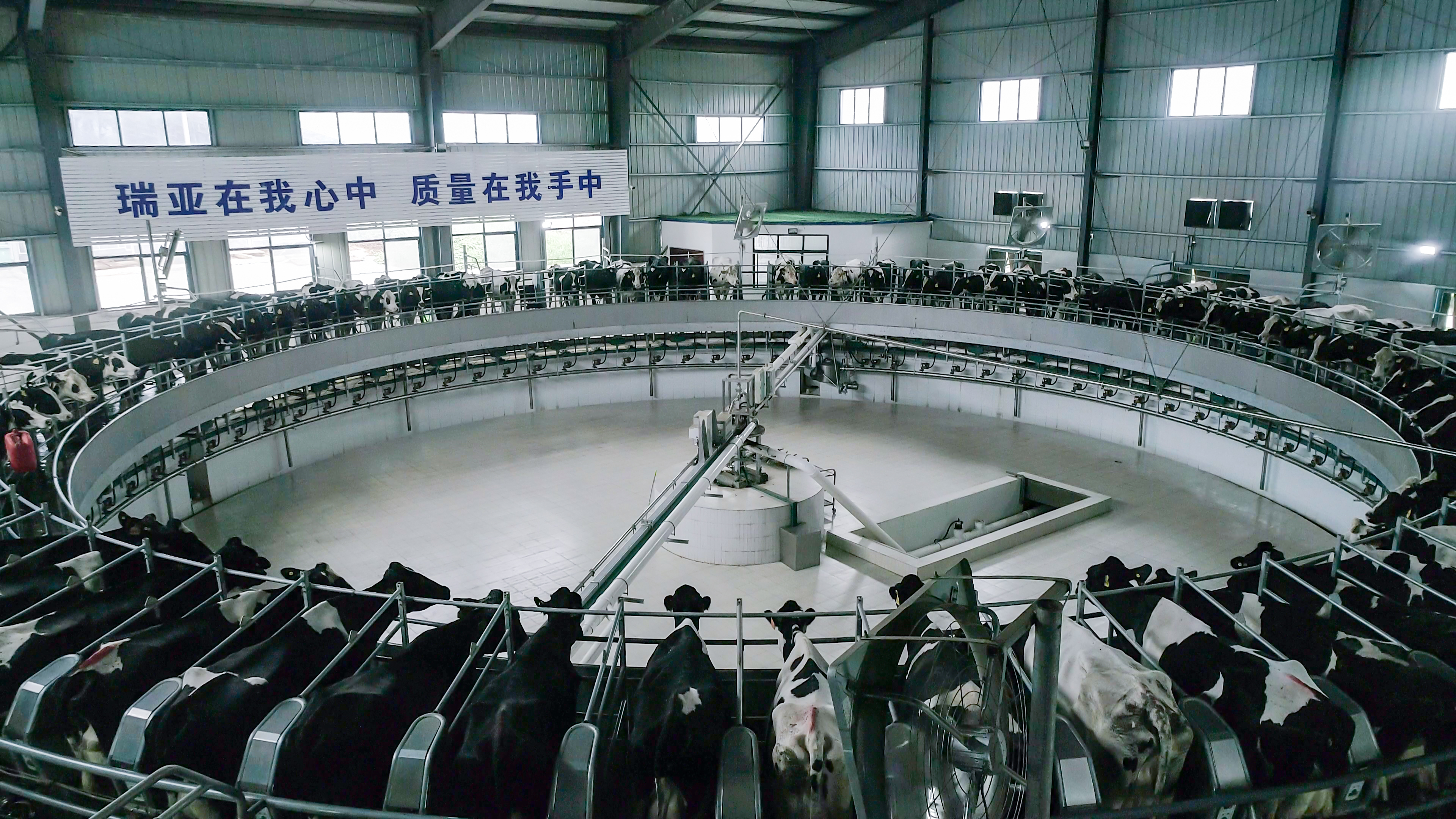 河南省人大常委會黨組書記、副主任孔昌生蒞臨花花牛魯山瑞亞牧場參觀調(diào)研