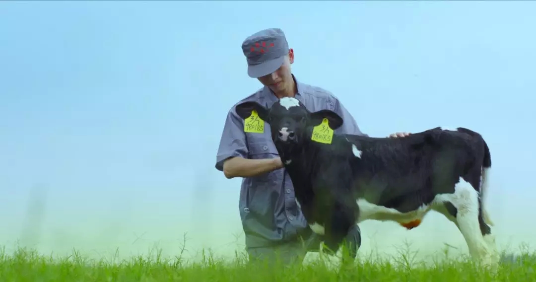 河南省人大常委會黨組書記、副主任孔昌生蒞臨花花牛魯山瑞亞牧場參觀調(diào)研