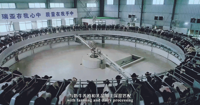 快訊 | 湖北省農(nóng)業(yè)廳副廳長王海濤等領(lǐng)導(dǎo)一行蒞臨河南花花牛乳業(yè)集團(tuán)參觀調(diào)研 快訊 | 湖北省農(nóng)業(yè)廳副廳長王海濤等領(lǐng)導(dǎo)一行蒞臨河南花花牛乳業(yè)集團(tuán)參觀調(diào)研