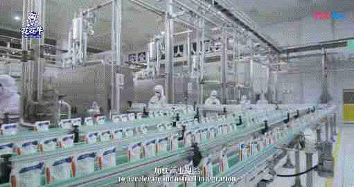 快訊 | 湖北省農(nóng)業(yè)廳副廳長王海濤等領(lǐng)導(dǎo)一行蒞臨河南花花牛乳業(yè)集團(tuán)參觀調(diào)研 快訊 | 湖北省農(nóng)業(yè)廳副廳長王海濤等領(lǐng)導(dǎo)一行蒞臨河南花花牛乳業(yè)集團(tuán)參觀調(diào)研