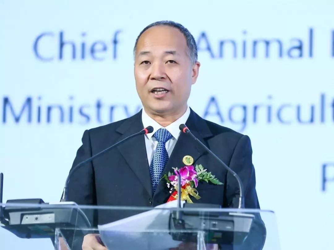 SDDDC走進河南，看看花花牛的國際范兒！