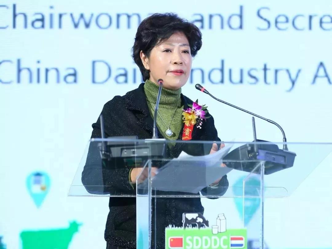 SDDDC走進河南，看看花花牛的國際范兒！