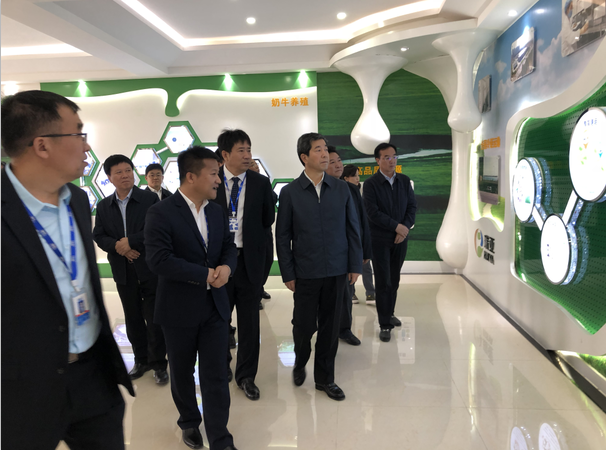 河南省委副書記、省長陳潤兒一行蒞臨 花花牛集團魯山瑞亞牧業(yè)有限公司視察調研