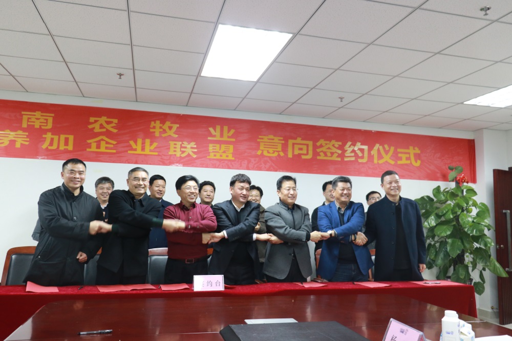 涉農(nóng)企業(yè)強(qiáng)強(qiáng)聯(lián)合，“抱團(tuán)取暖”共迎企業(yè)發(fā)展的春天