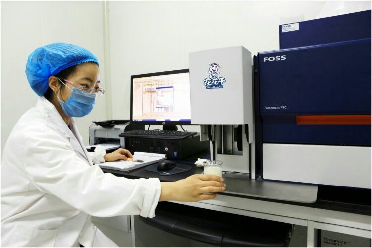 花花牛：務(wù)實、創(chuàng)新領(lǐng)潮市場 大企業(yè)體現(xiàn)大擔(dān)當(dāng)