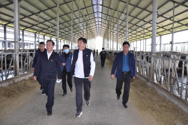 商丘市委常委、宣傳部部長(zhǎng)王全周一行蒞臨睢縣瑞亞牧業(yè)有限公司調(diào)研